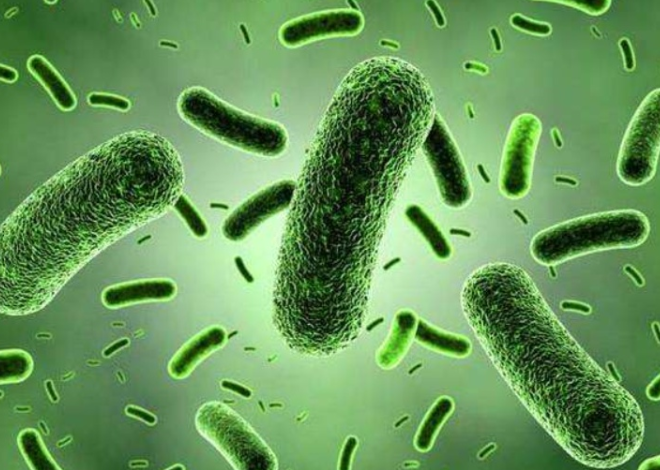 小肠细菌过度生长