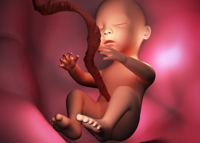 胎儿出生