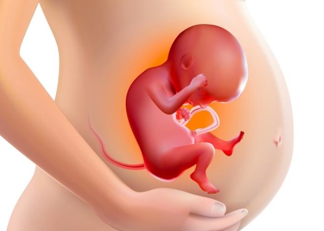 胎儿出生