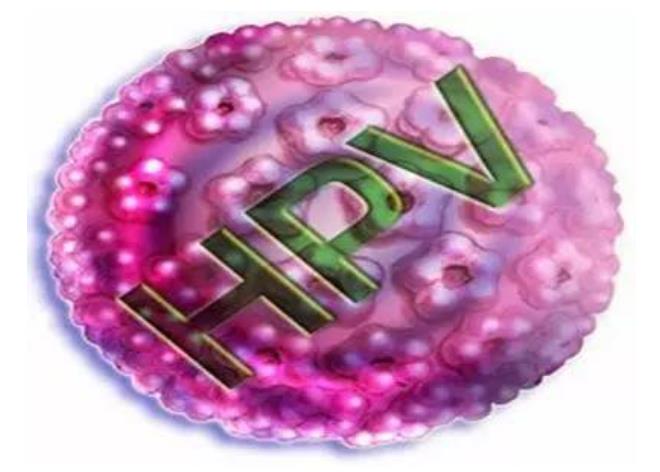 HPV感染