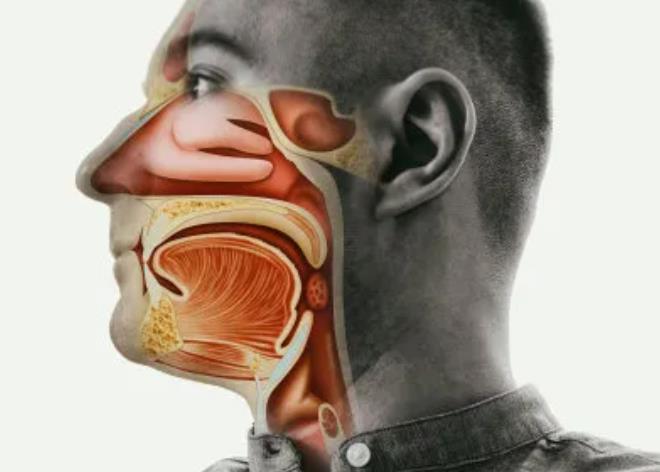 鼻咽癌