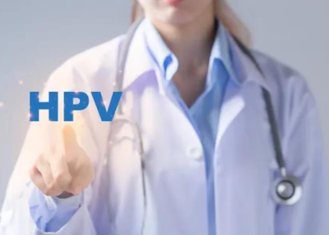  HPV 